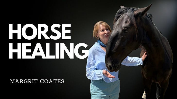 Horse Healing with Margrit Coates