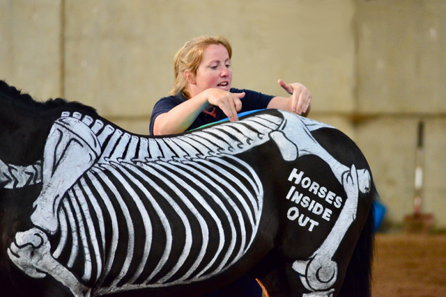 Painted Anatomy: How Gillian Higgins Reveals the Inner Workings of Horses