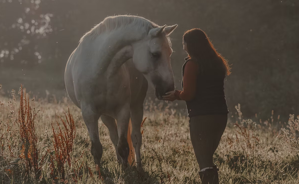 How a Young Equine Behaviorist is Reshaping Horse Training