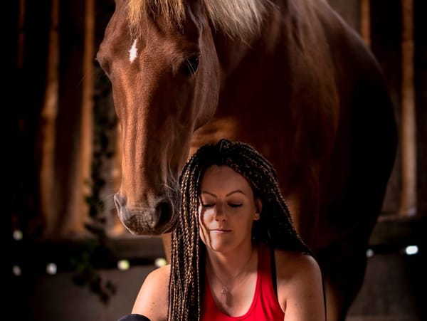 What If Your Horse Is Hiding Trauma? The Truth Behind the Calm