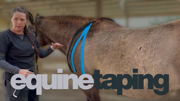 Rebecca with horse explaining equine taping