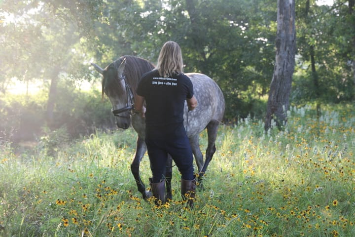 Rupert Isaacson on Equine Assisted Therapy and the 'Horse Boy' Method