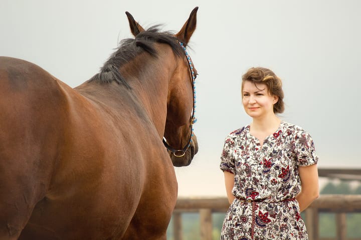 Groundwork and Horses: An Evidence-Based Approach to Training Methods and Human-Horse Relationships