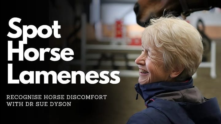 Horse Lameness: A Revolutionary Approach to Detecting Pain in Horses