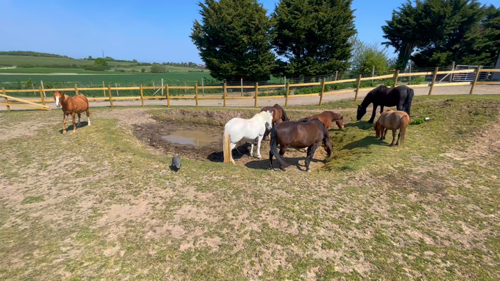 Give Them Choice. Why Track Systems Work.