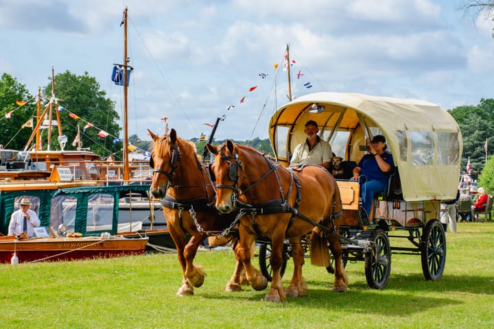 The native ponies we are losing