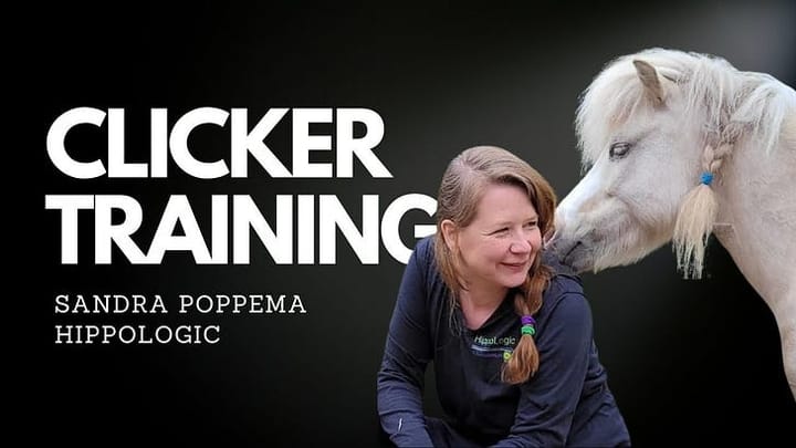 Training Horses with Kindness